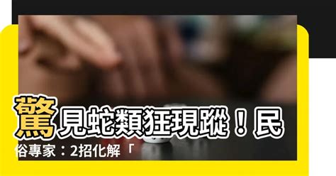 看見蛇|【看到蛇代表什麼】看到蛇代表什麼？民俗專家揭秘：。